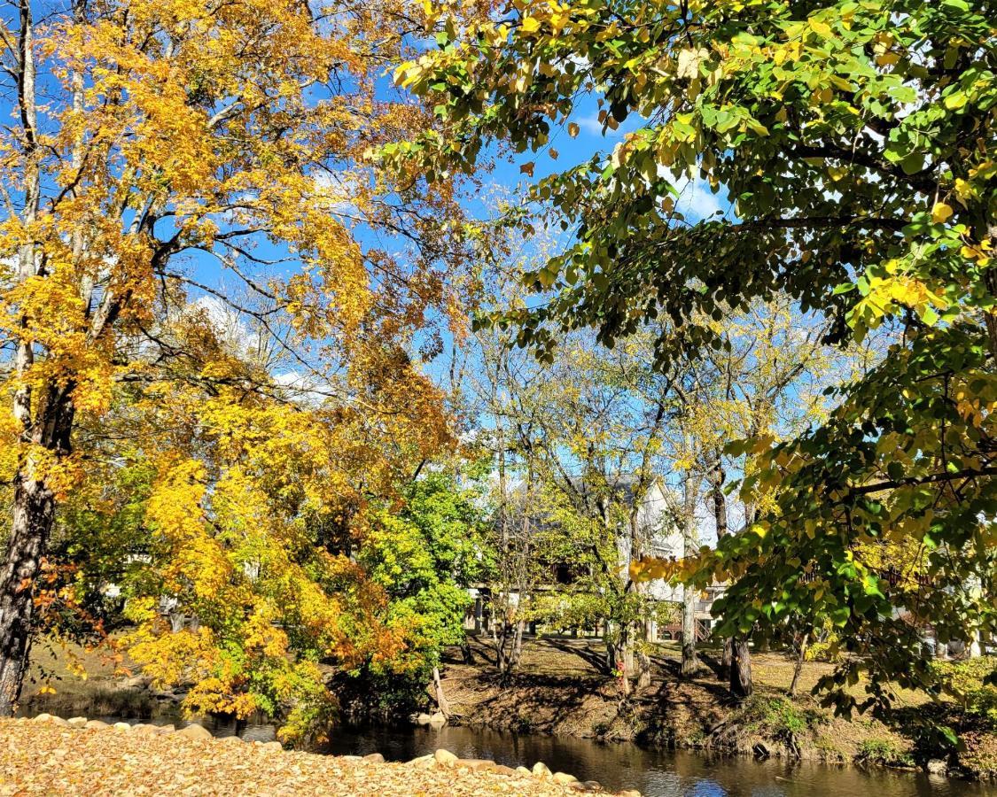 Skinny Dippin'-River Front- Free Tickets-Dog Friendly-Sleeps 6 Pigeon Forge Exterior foto